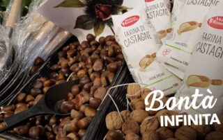 Castagne 4